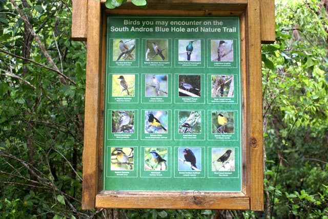 Birdwatching sign along the South Andros Blue Hole Nature Trail